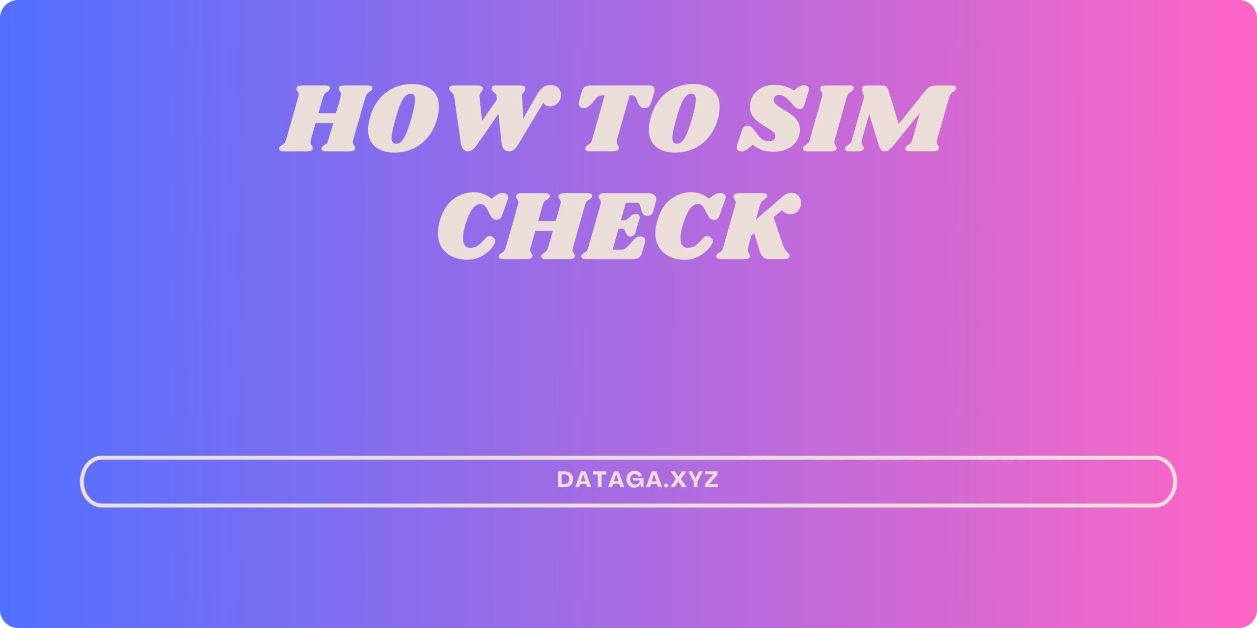 How to SIM Check