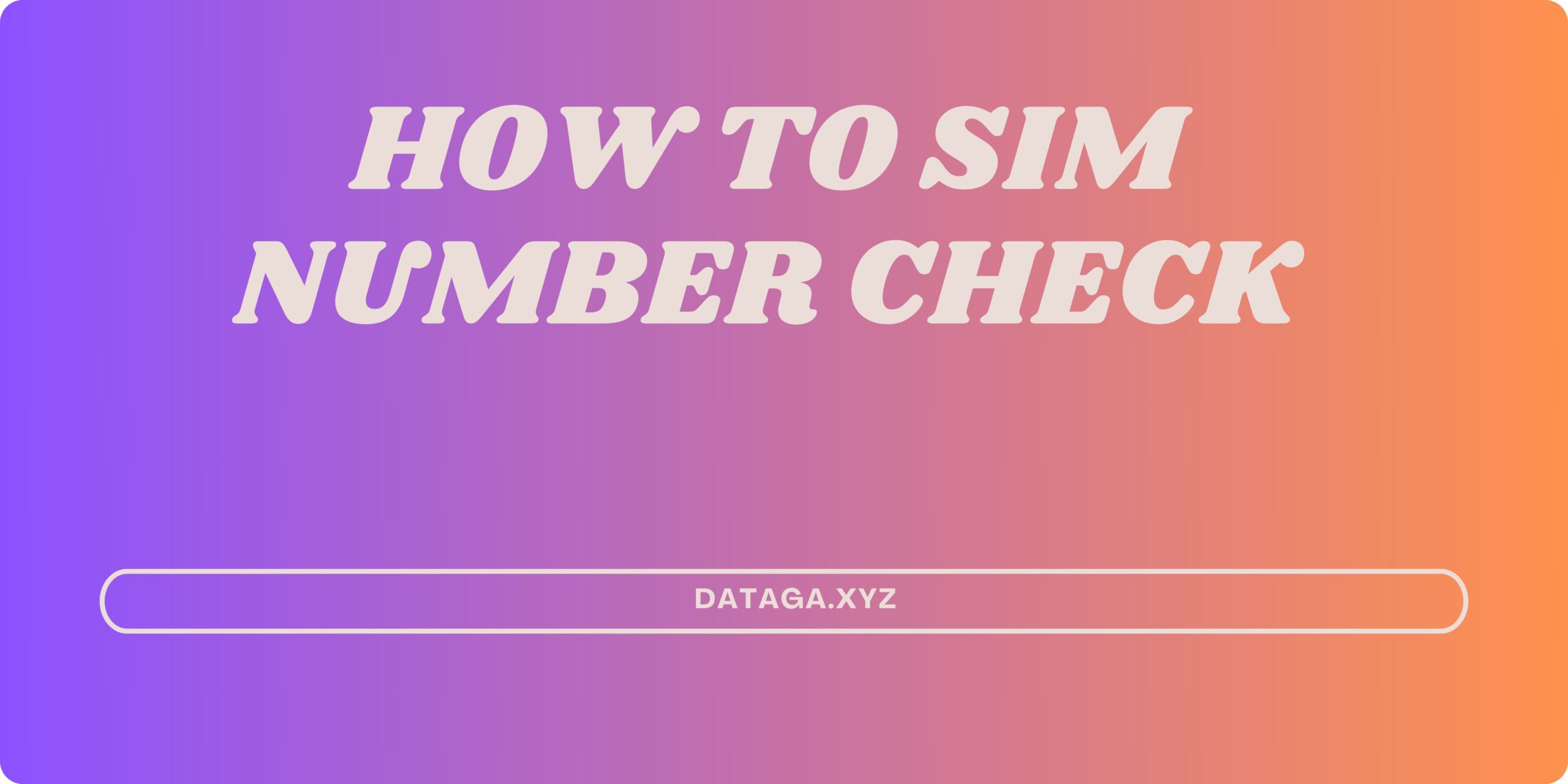 sim number check