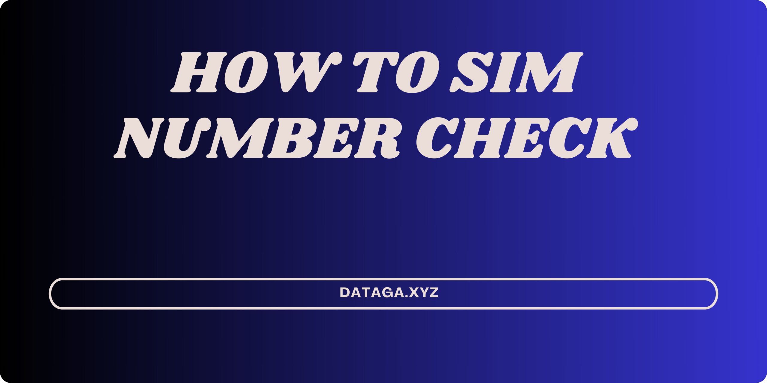 How to sim number check