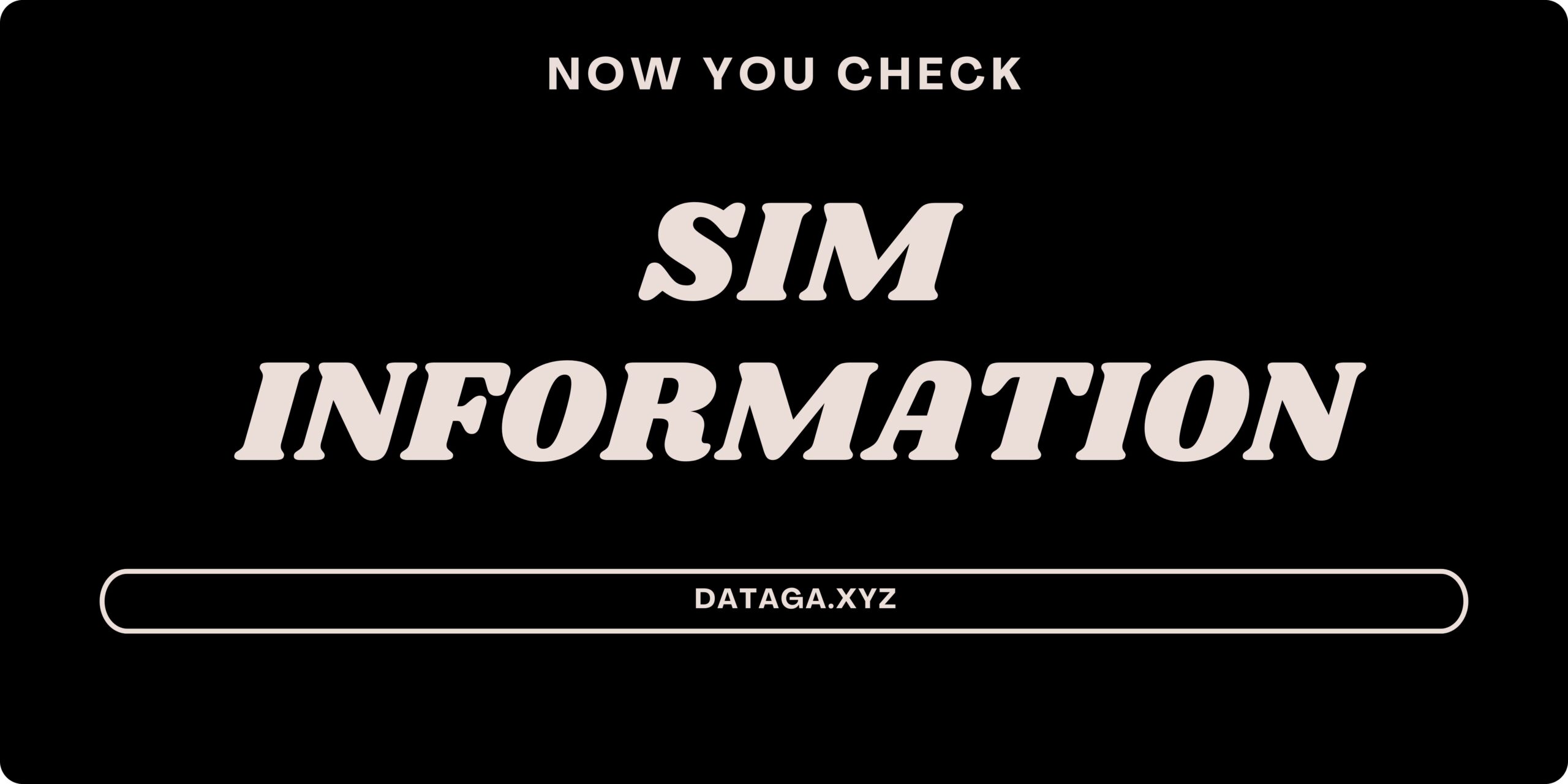 sim information