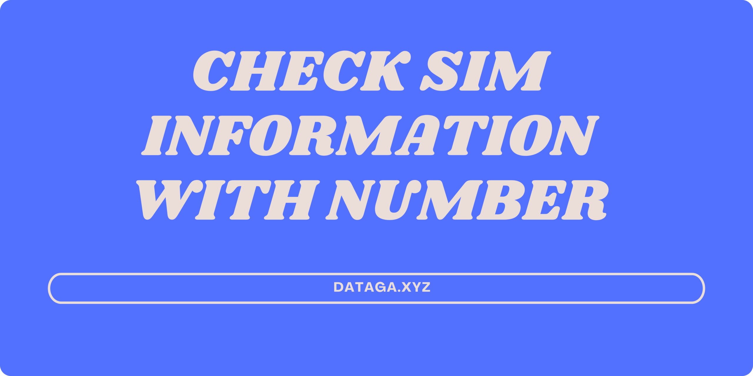Check sim information with number