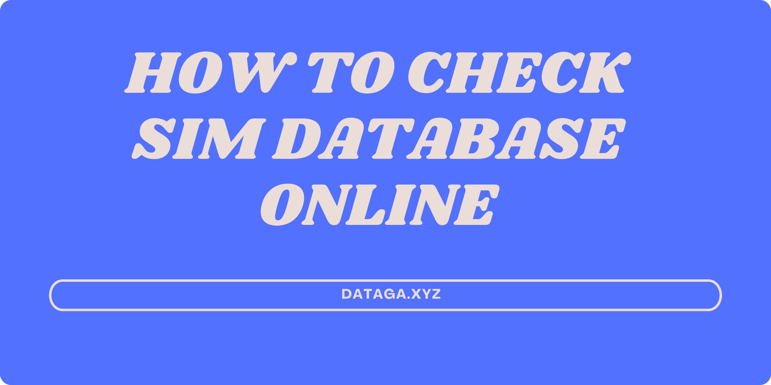 How to Check sim database online