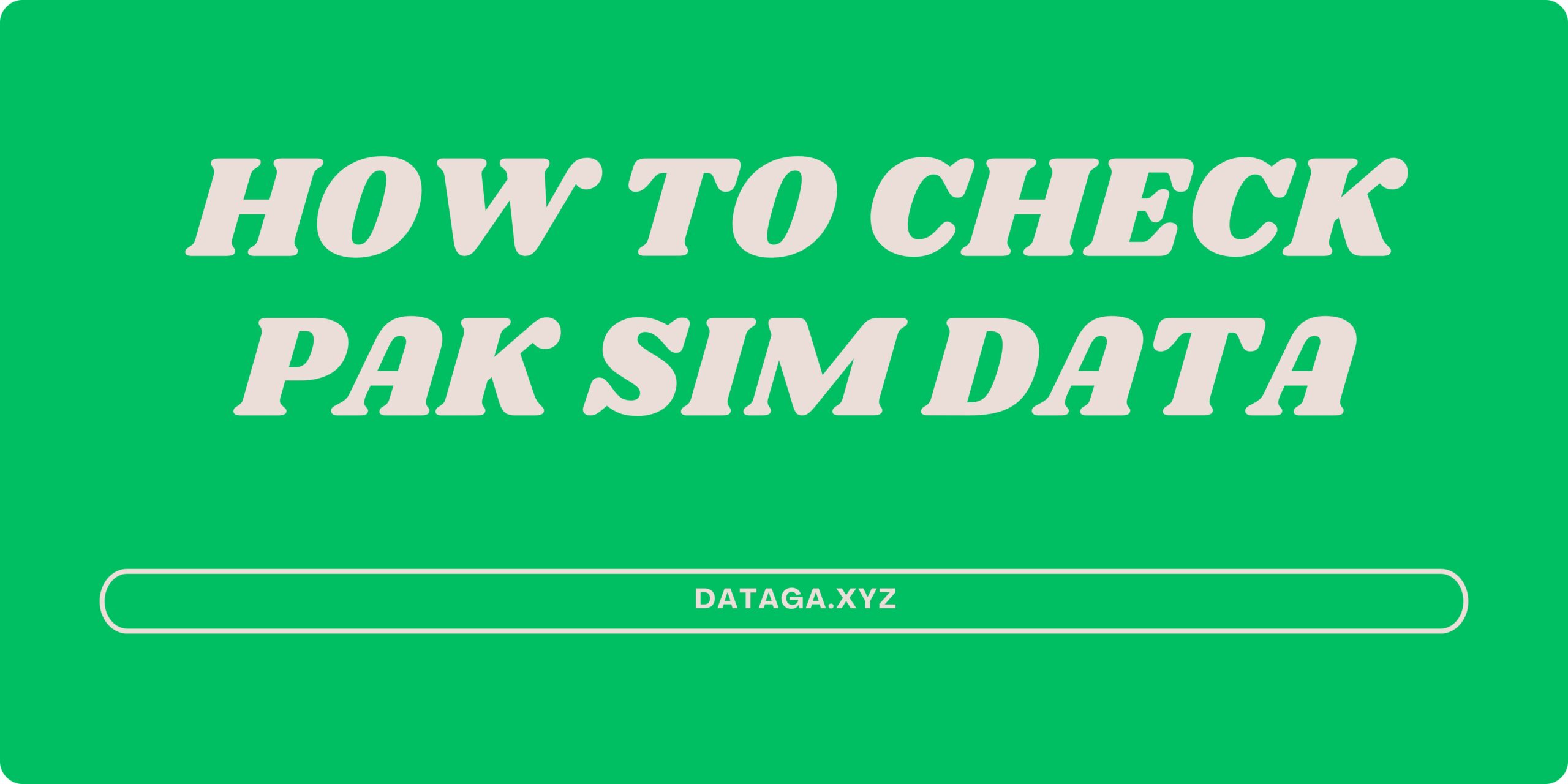 How to check pak sim data