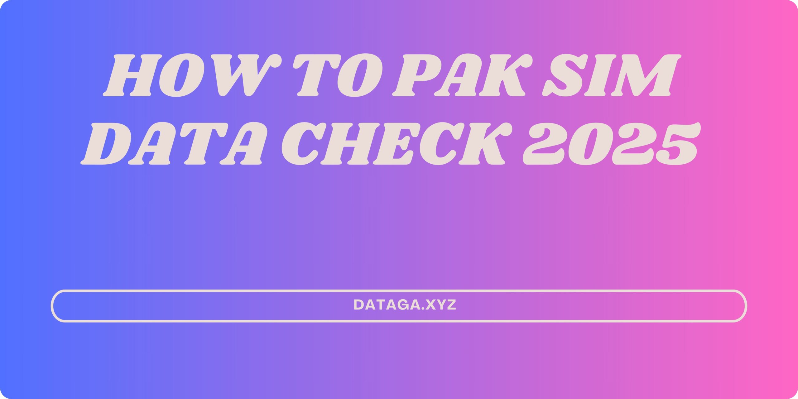 pak sim data check 2025