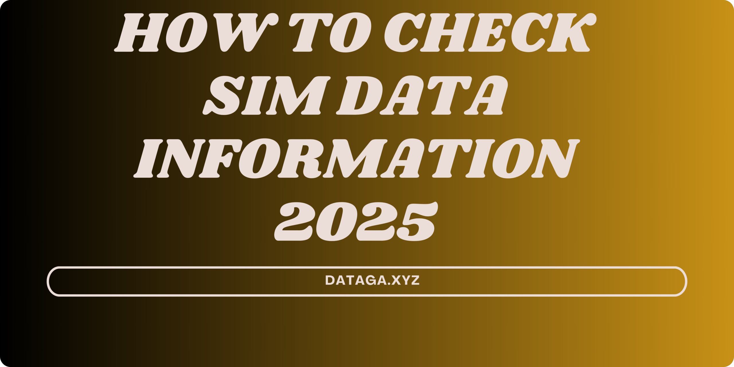 SIM Data Information 2025